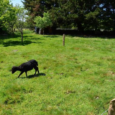 Chambres d'hôtes Pont-l'Abbé
